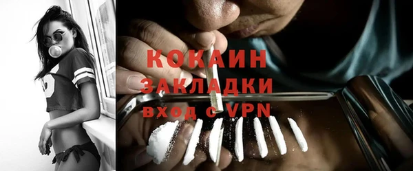 мдпв Шали