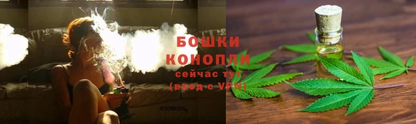 mdpv Белокуриха