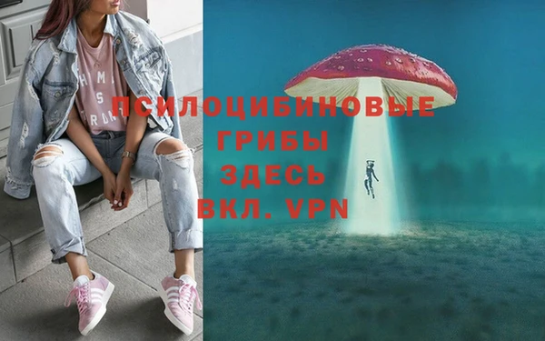 mdpv Белокуриха