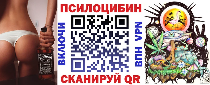 Псилоцибиновые грибы Cubensis  даркнет сайт  Ясногорск 